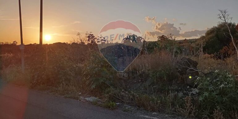 20250730162836-972525-4