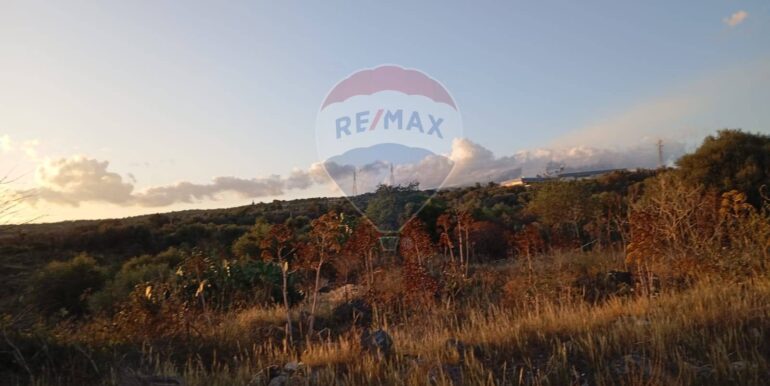 20250730162836-972525-5