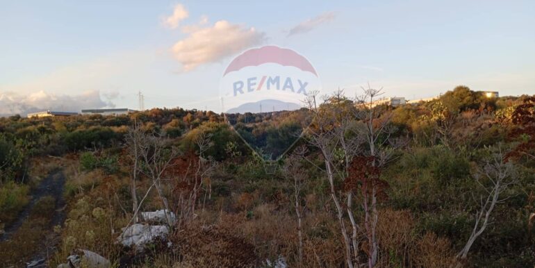 20250730162837-972525-10