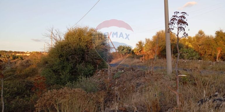 20250730162838-972525-12