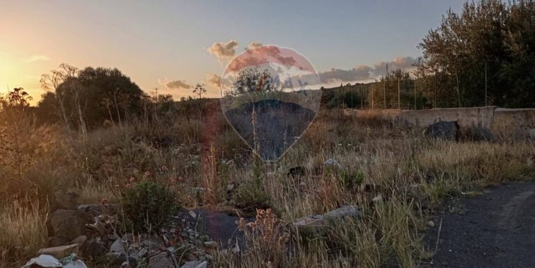 20250730162840-972525-19