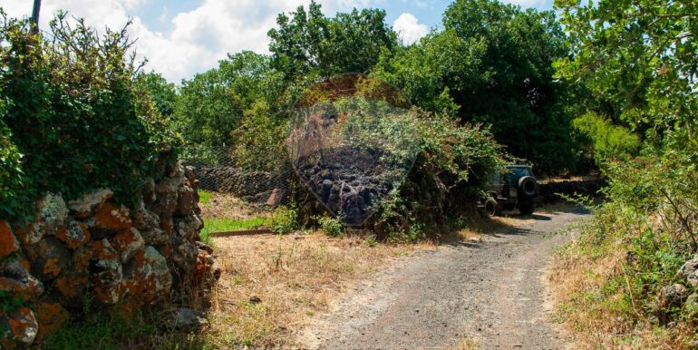 2025073091400-972135-1