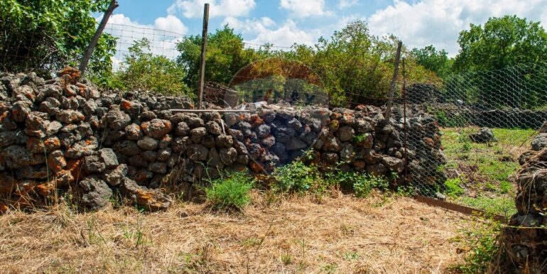 2025073091406-972135-2