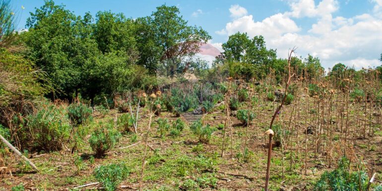 2025073091410-972135-3