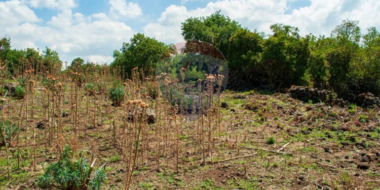 2025073091415-972135-4