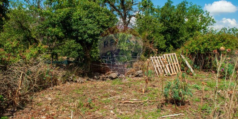 2025073091419-972135-5