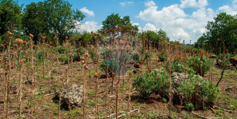 2025073091423-972135-6