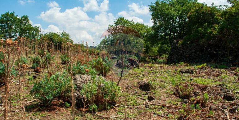 2025073091427-972135-7