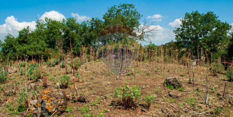 2025073091431-972135-8