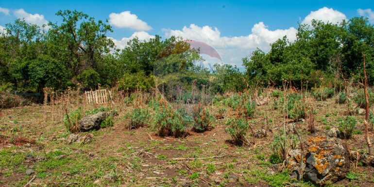 2025073091436-972135-9