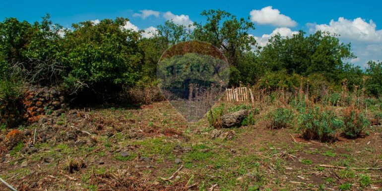 2025073091440-972135-10