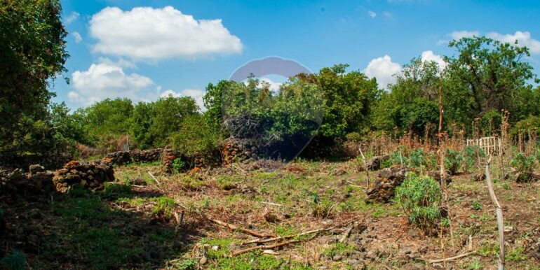 2025073091444-972135-11