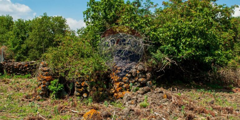 2025073091449-972135-12