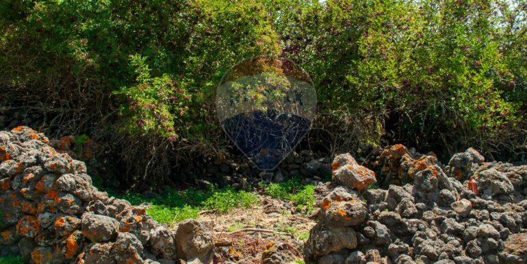 2025073091452-972135-13