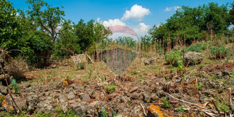 2025073091457-972135-14