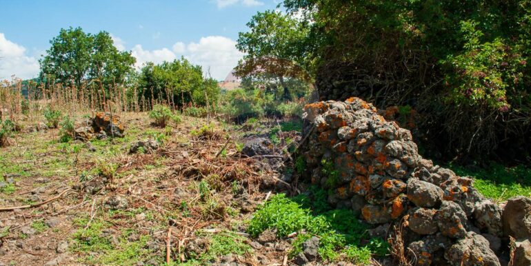 2025073091501-972135-15