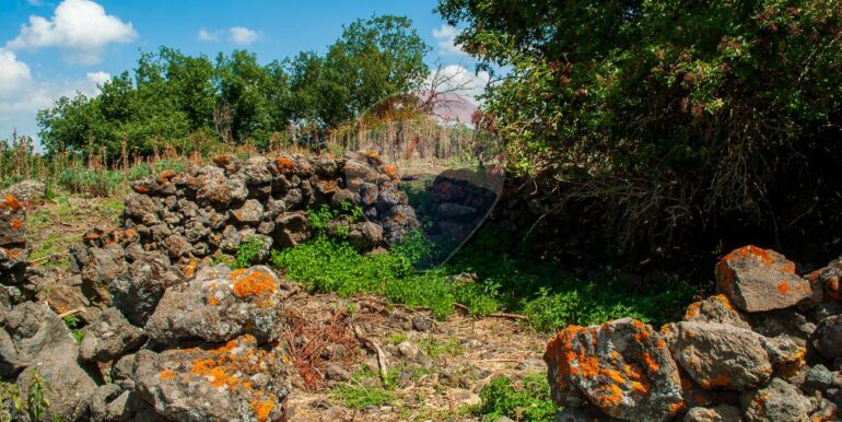 2025073091506-972135-16