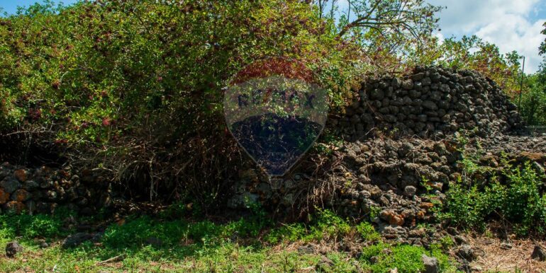 2025073091510-972135-17