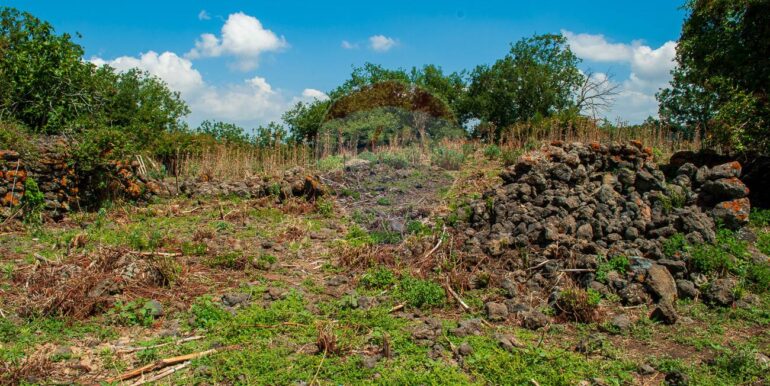 2025073091514-972135-18