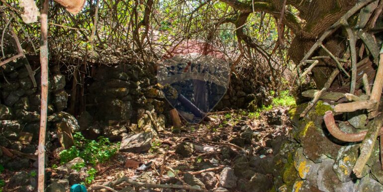 2025073091520-972135-19