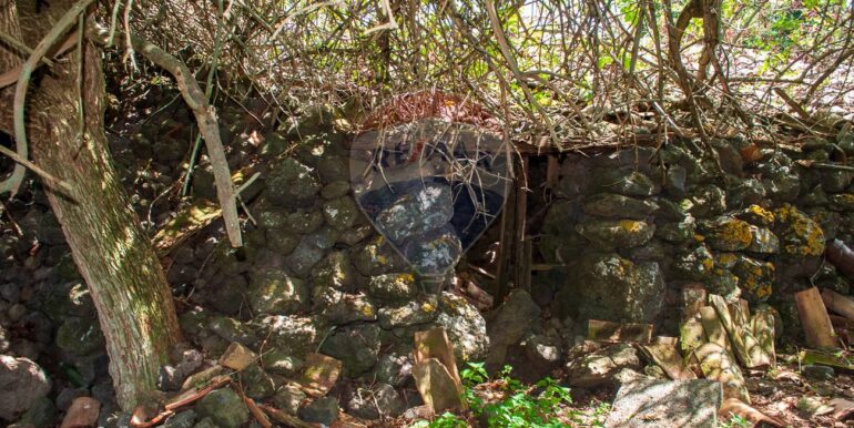 2025073091525-972135-20