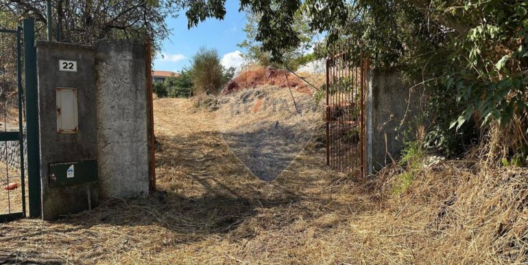 20250731102636-972474-1