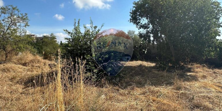 20250731102644-972474-3