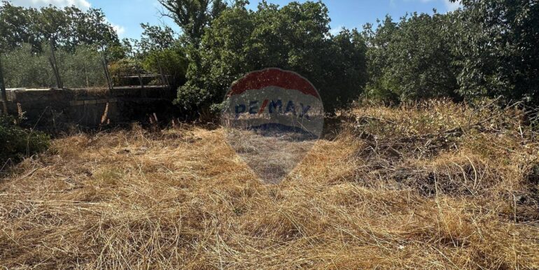 20250731102647-972474-4