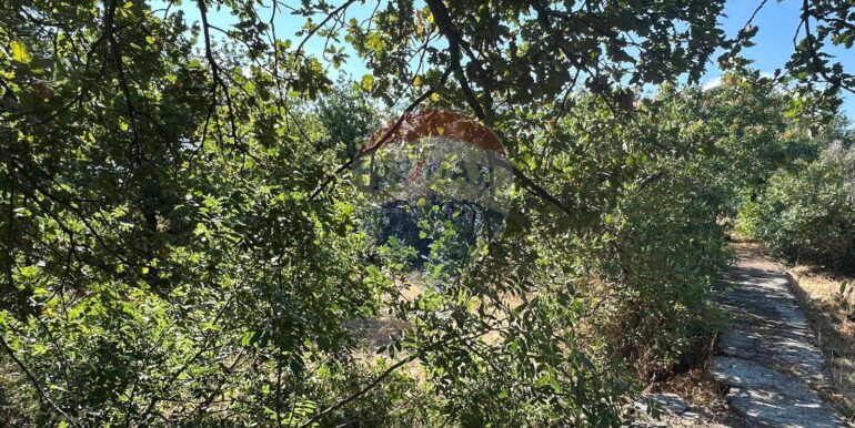 20250731102650-972474-5