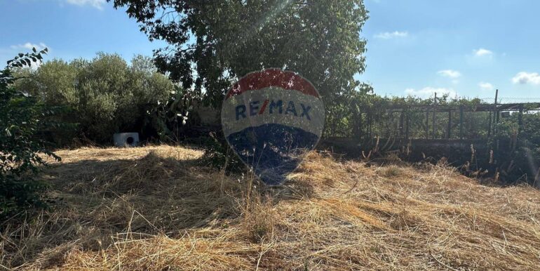 20250731102653-972474-6