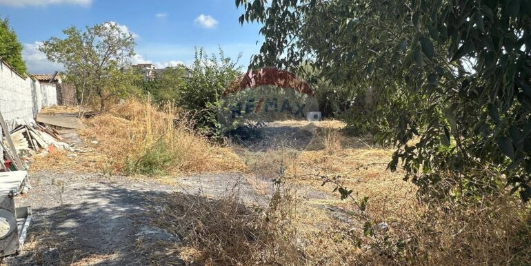 20250731102656-972474-7