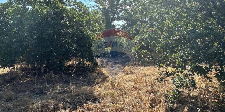 20250731102702-972474-9