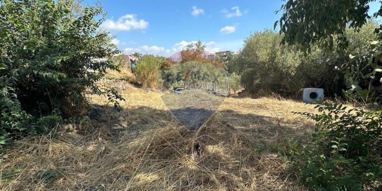 20250731102705-972474-10