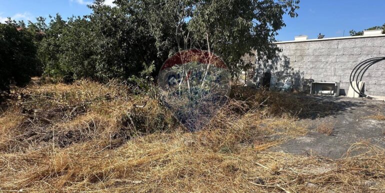 20250731102712-972474-12