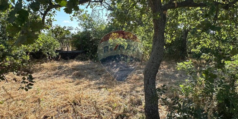 20250731102715-972474-13