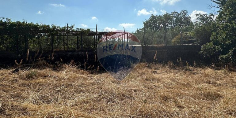 20250731102721-972474-15