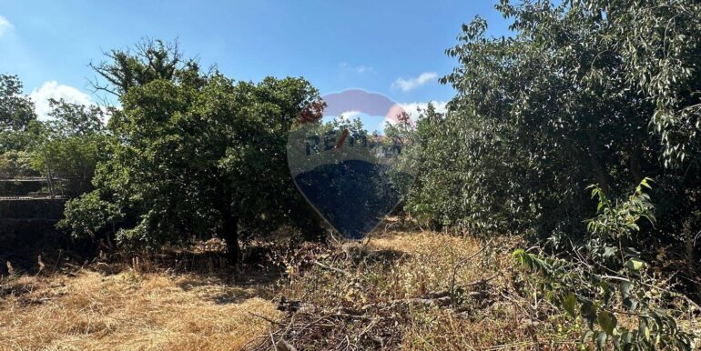 20250731102724-972474-16