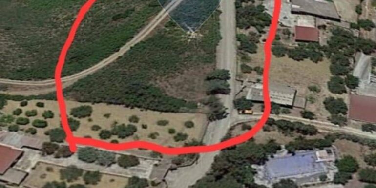 20250731182805-972849-5