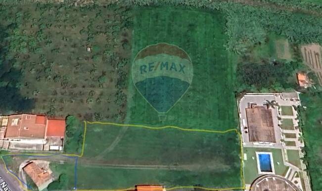 20250807123512-974007-4