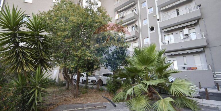 20250812193154-971976-4