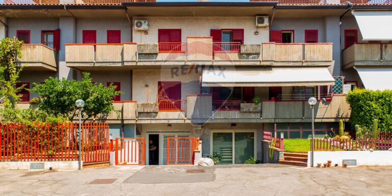 2025081994006-975023-7