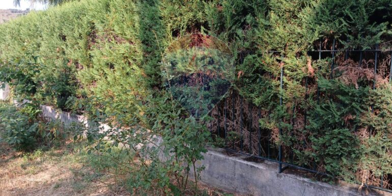 20250821120750-975261-7