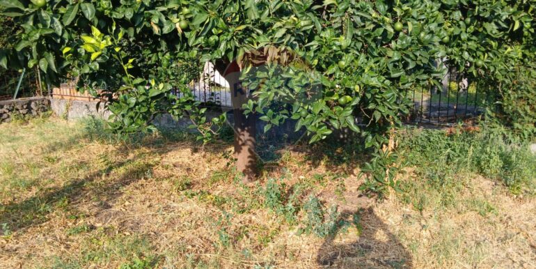 20250821120838-975261-19