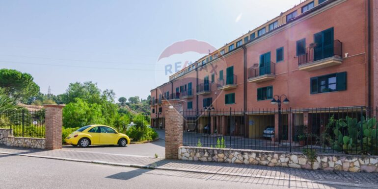 2025082473329-972274-82