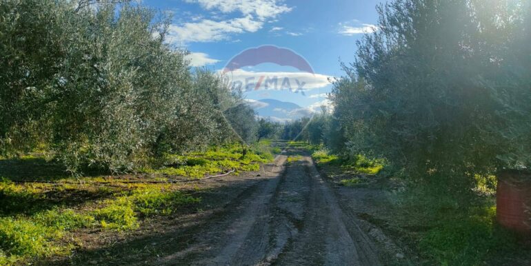 20250825122102-975545-1