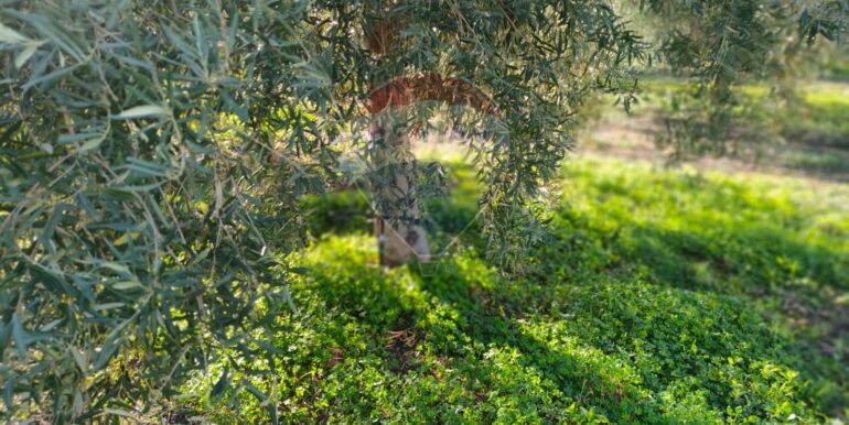 20250825122102-975545-2