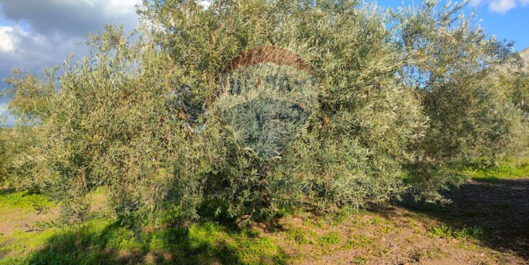 20250825122102-975545-3