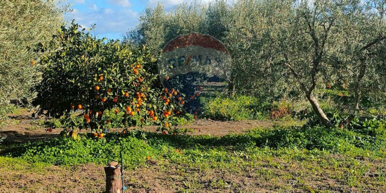 20250825122103-975545-4