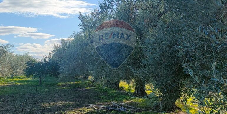 20250825122103-975545-5