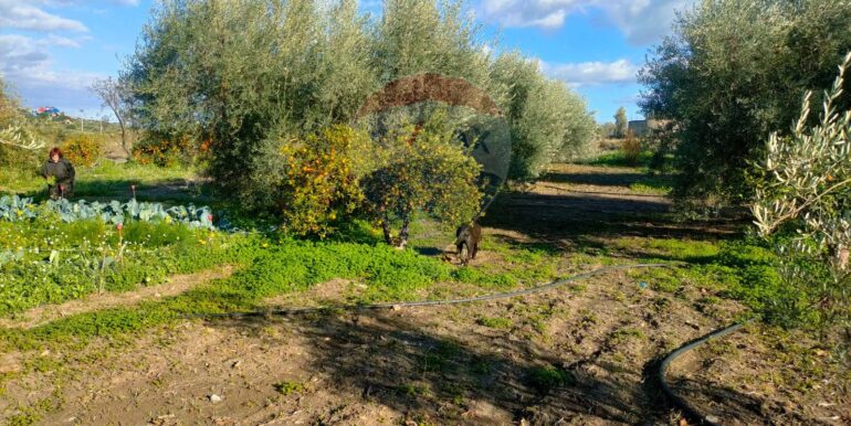 20250825122103-975545-6